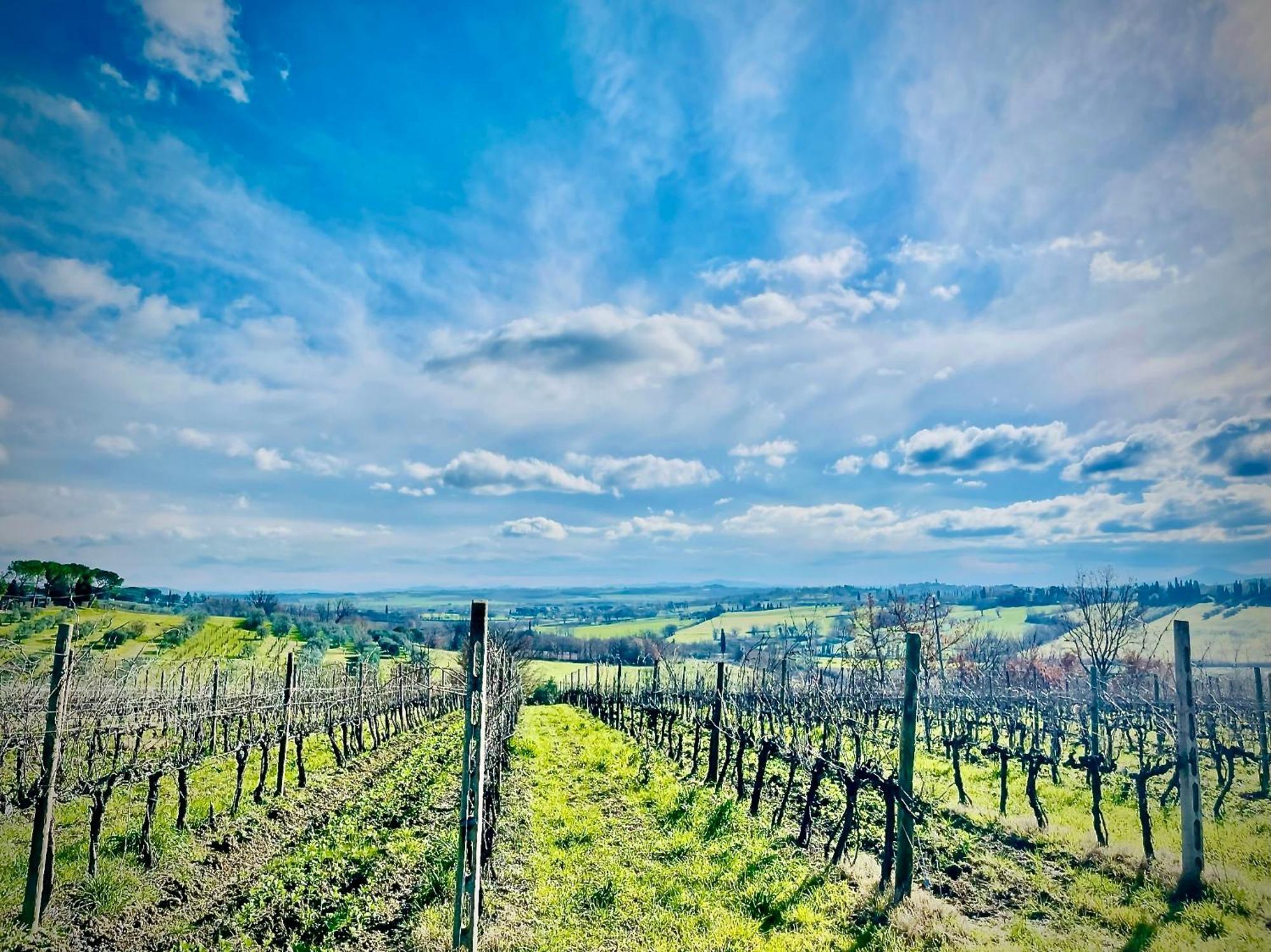Agriturismo Casaviva Pozzo  Exteriér fotografie